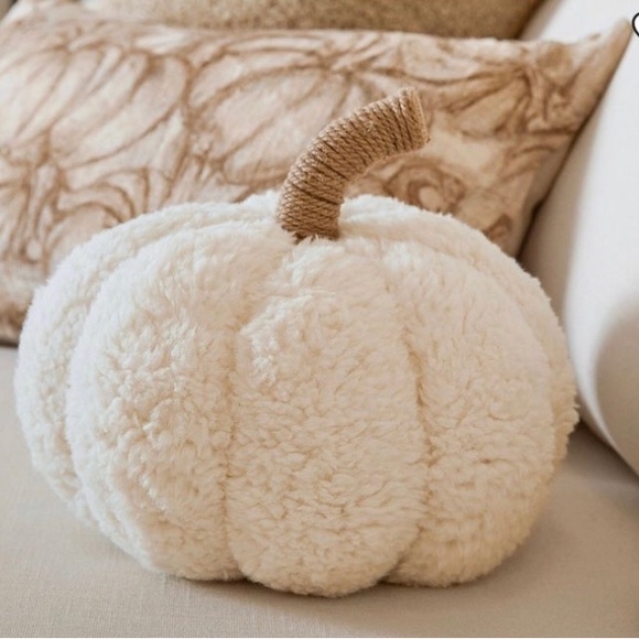 Pottery Barn Ivory Pumpkin Pillow - Picture 5 of 8